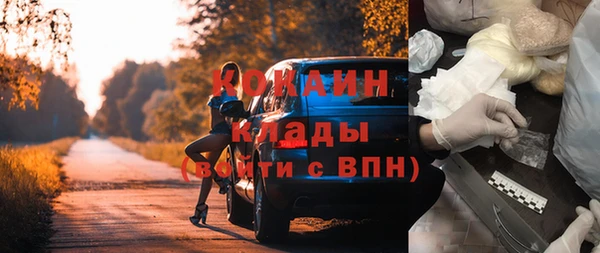 дживик Аркадак