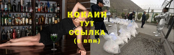 дживик Аркадак