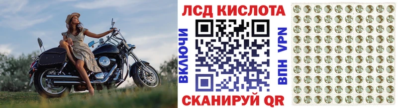 Марки NBOMe 1,8мг купить наркотики цена Пошехонье